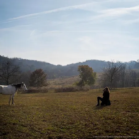Dharma Horse Shelter Bungalows&farmping Campingplatz Siófok