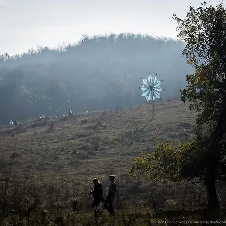 Kemping Dharma Horse Shelter & Farmping Siófok