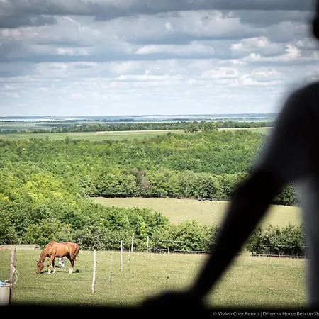 Campingplatz Dharma Horse Shelter Bungalows&farmping *
