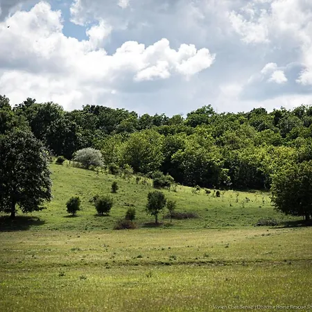 Dharma Horse Shelter & Farmping Kemping Siófok
