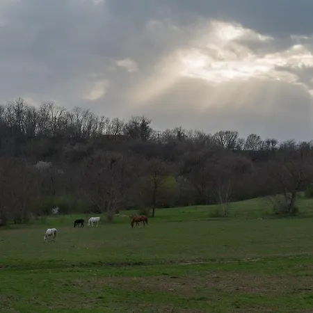Dharma Horse Shelter Bungalows&farmping Campingplatz