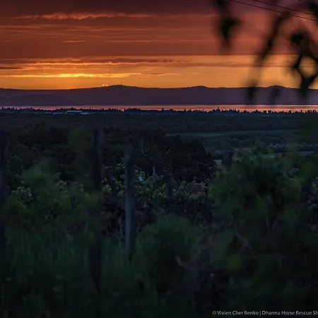 Dharma Horse Shelter Bungalows&farmping Campingplatz *