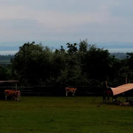 Campingplatz Dharma Horse Shelter Bungalows&farmping *