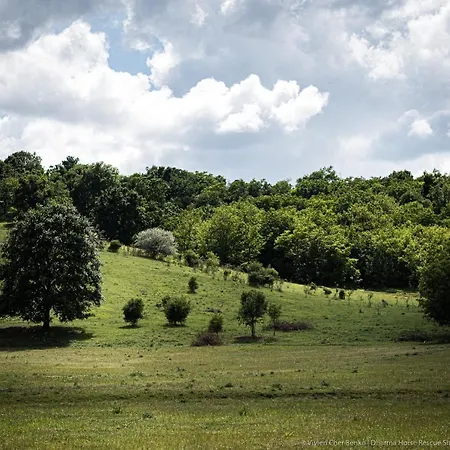 Dharma Horse Shelter Bungalows&farmping Campingplatz *