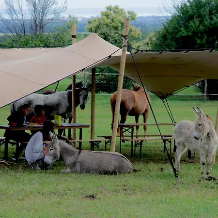 Campingplatz Dharma Horse Shelter Bungalows&farmping *