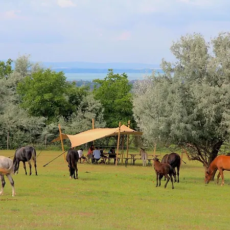 Campingplatz Dharma Horse Shelter Bungalows&farmping *
