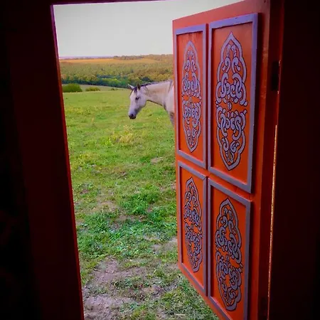 Dharma Horse Shelter & Farmping * Siófok