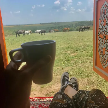 Dharma Horse Shelter & Farmping Campingplads *