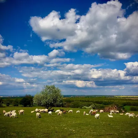 Dharma Horse Shelter & Farmping Κάμπινγκ Σίοφοκ