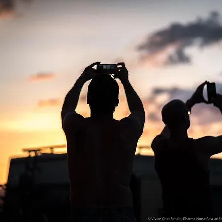 Campingplatz Dharma Horse Shelter Bungalows&farmping Siófok