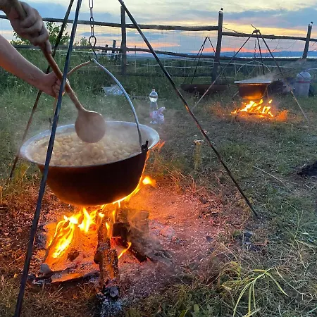 Campingplads Dharma Horse Shelter & Farmping *