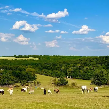 Campingplatz Dharma Horse Shelter Bungalows&farmping