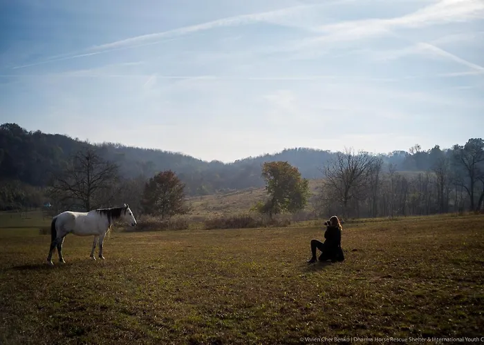 Dharma Horse Shelter & Farmping Campingplads Siófok