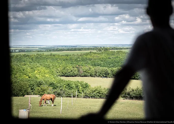 אתר קמפינג Dharma Horse Shelter & Farmping *