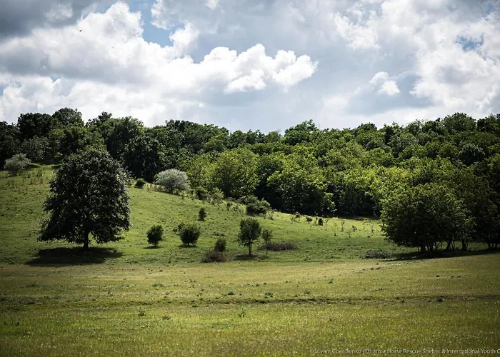 Dharma Horse Shelter & Farmping אתר קמפינג שיופוק