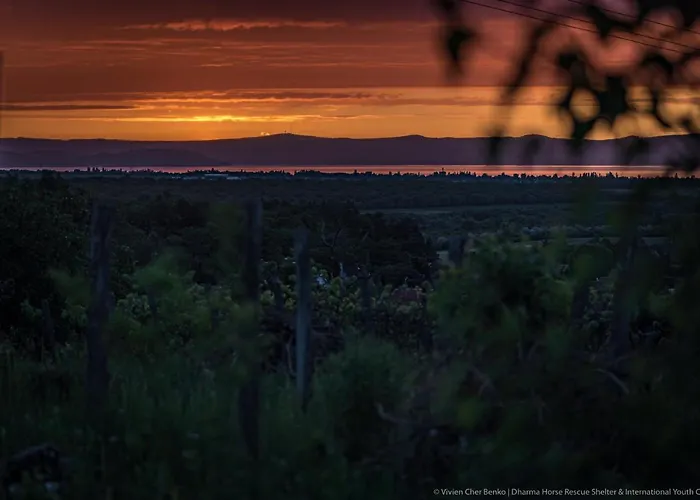 Dharma Horse Shelter & Farmping Campingplads *