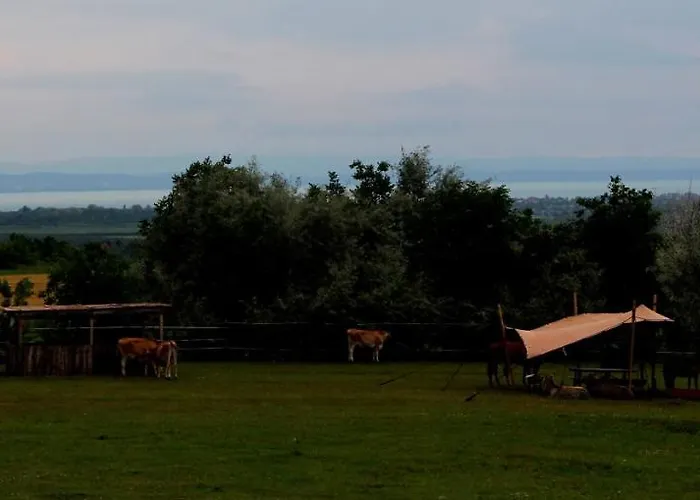 Campingplads Dharma Horse Shelter & Farmping *