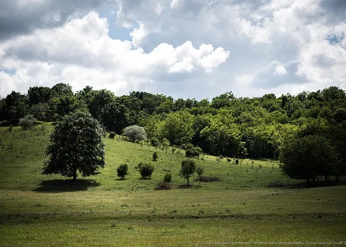 Dharma Horse Shelter & Farmping אתר קמפינג *