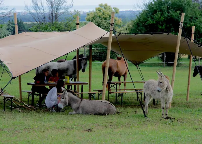 キャンプ場 Dharma Horse Shelter & Farmping *