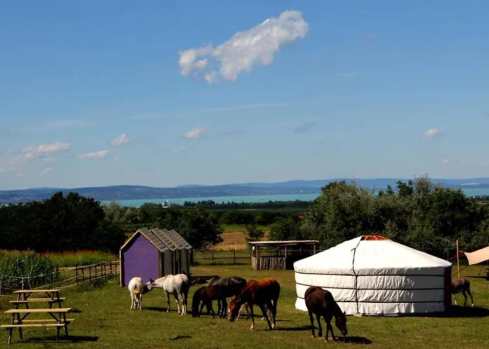 Dharma Horse Shelter & Farmping * שיופוק