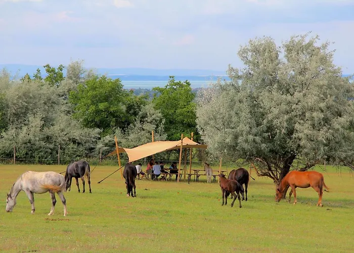 Campingplads Dharma Horse Shelter & Farmping *