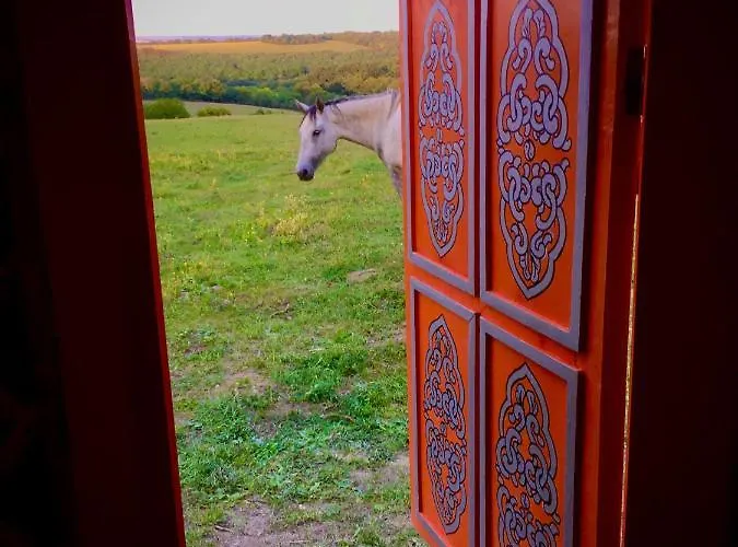 Dharma Horse Shelter & Farmping * שיופוק