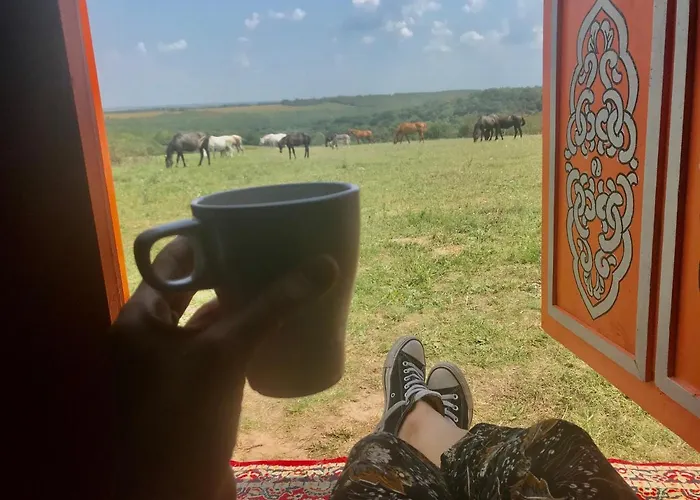 Dharma Horse Shelter & Farmping Campingplads *