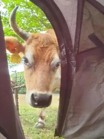 Dharma Horse Shelter & Farmping *