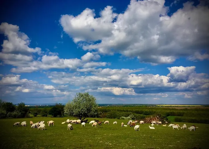 Dharma Horse Shelter & Farmping Campingplads Siófok