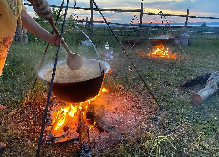 Campingplads Dharma Horse Shelter & Farmping *