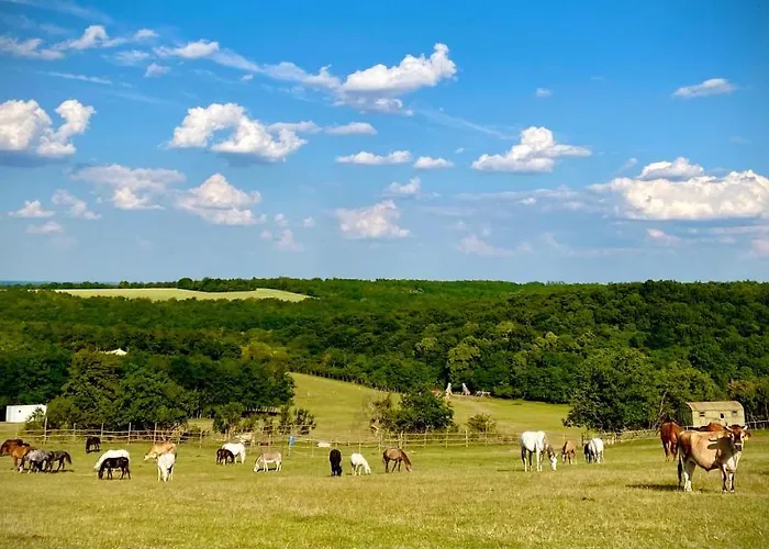 Campingplads Dharma Horse Shelter & Farmping