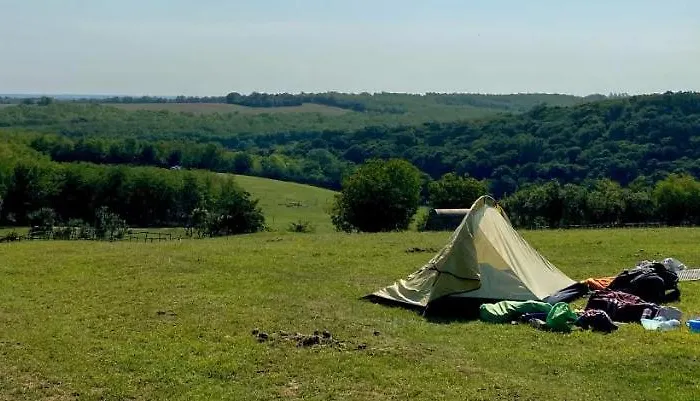 Dharma Horse Shelter & Farmping