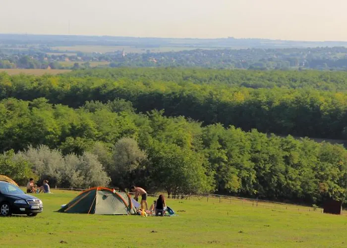 Dharma Horse Shelter & Farmping שיופוק