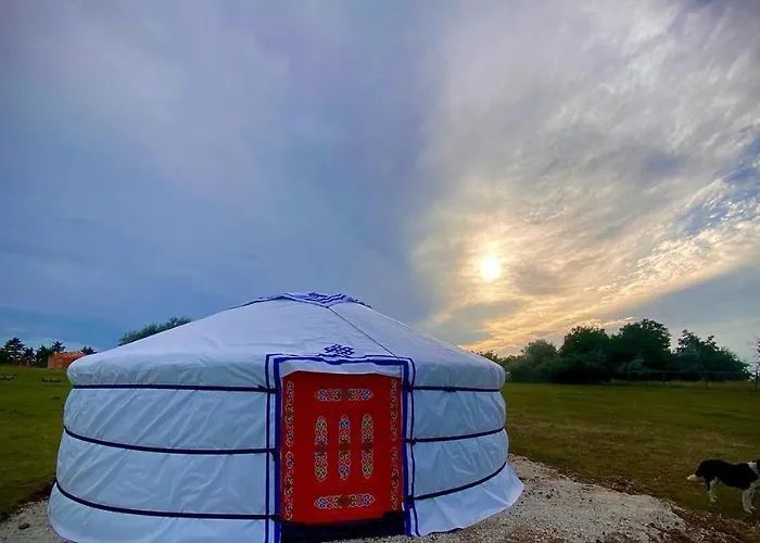 Dharma Horse Shelter & Farmping * シオーフォク